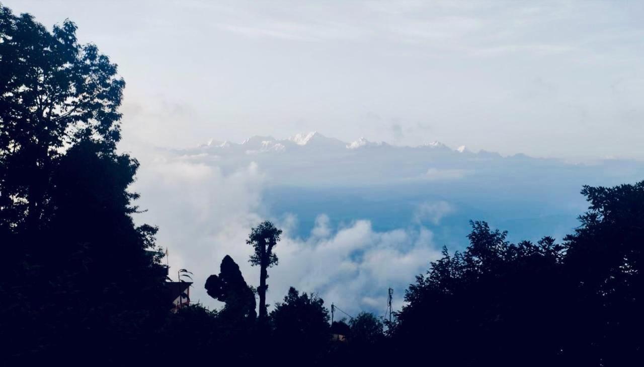 Forest Lodge - 80 Mts From Mall Road Darjeeling  Exterior foto