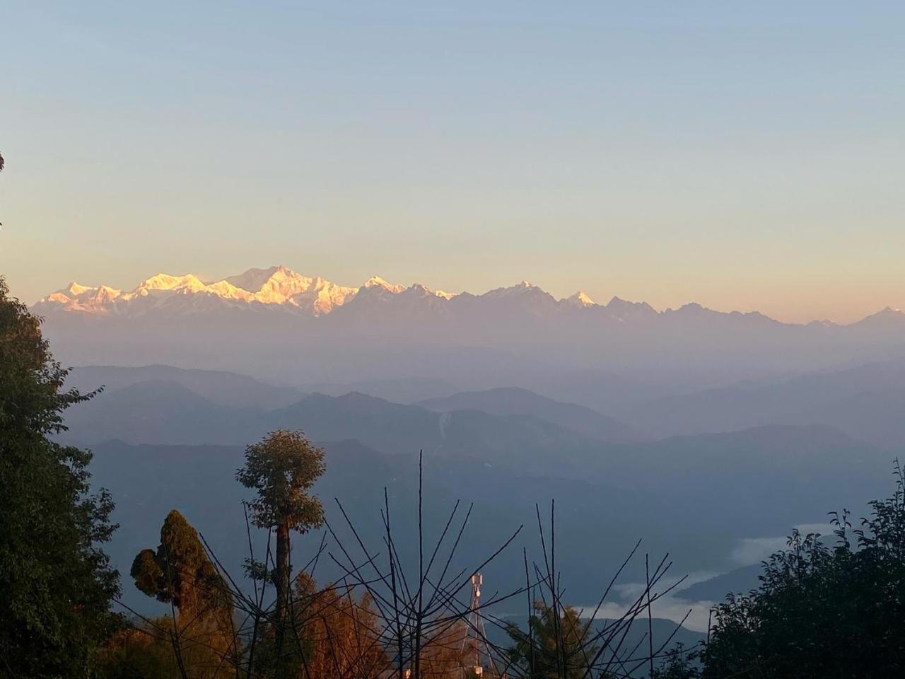 Forest Lodge - 80 Mts From Mall Road Darjeeling  Exterior foto