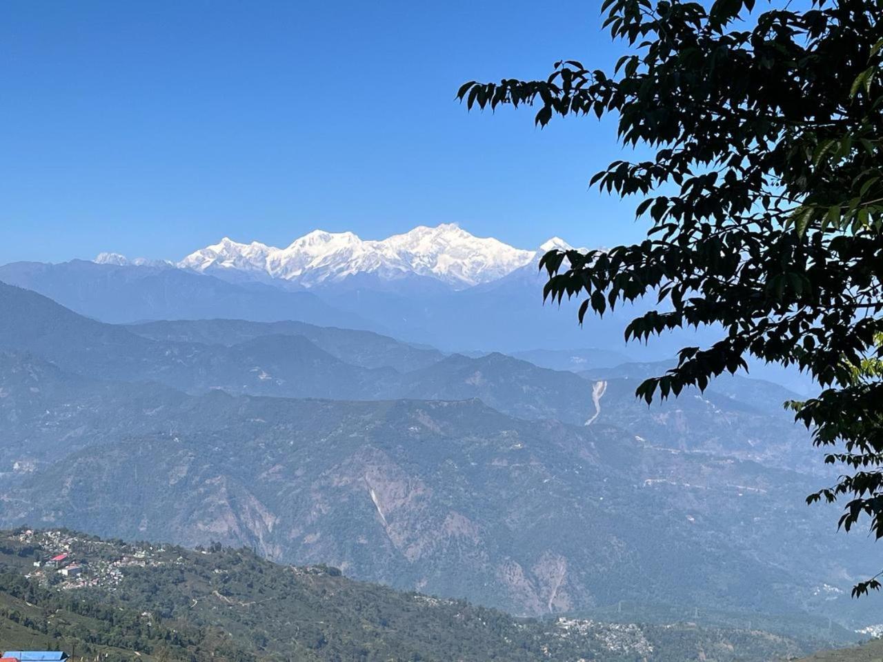 Forest Lodge - 80 Mts From Mall Road Darjeeling  Exterior foto